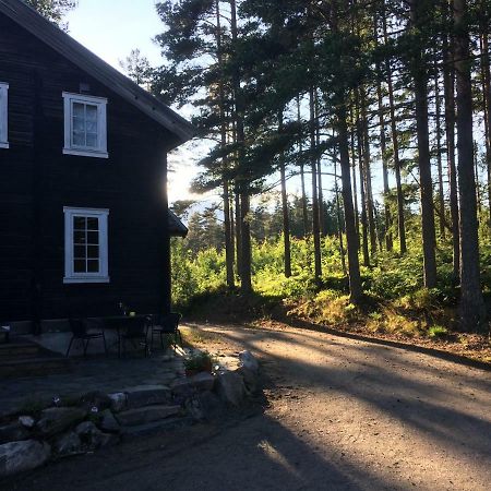 Breiva Gjestegaard Og Glamping 뵈 외부 사진