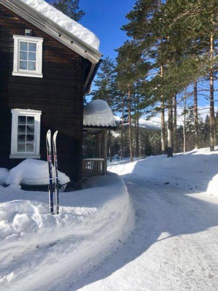 Breiva Gjestegaard Og Glamping 뵈 외부 사진